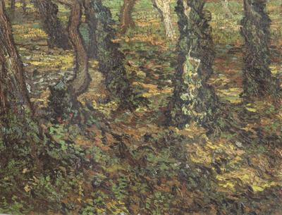 Tree Trunks with Ivy (nn04), Vincent Van Gogh